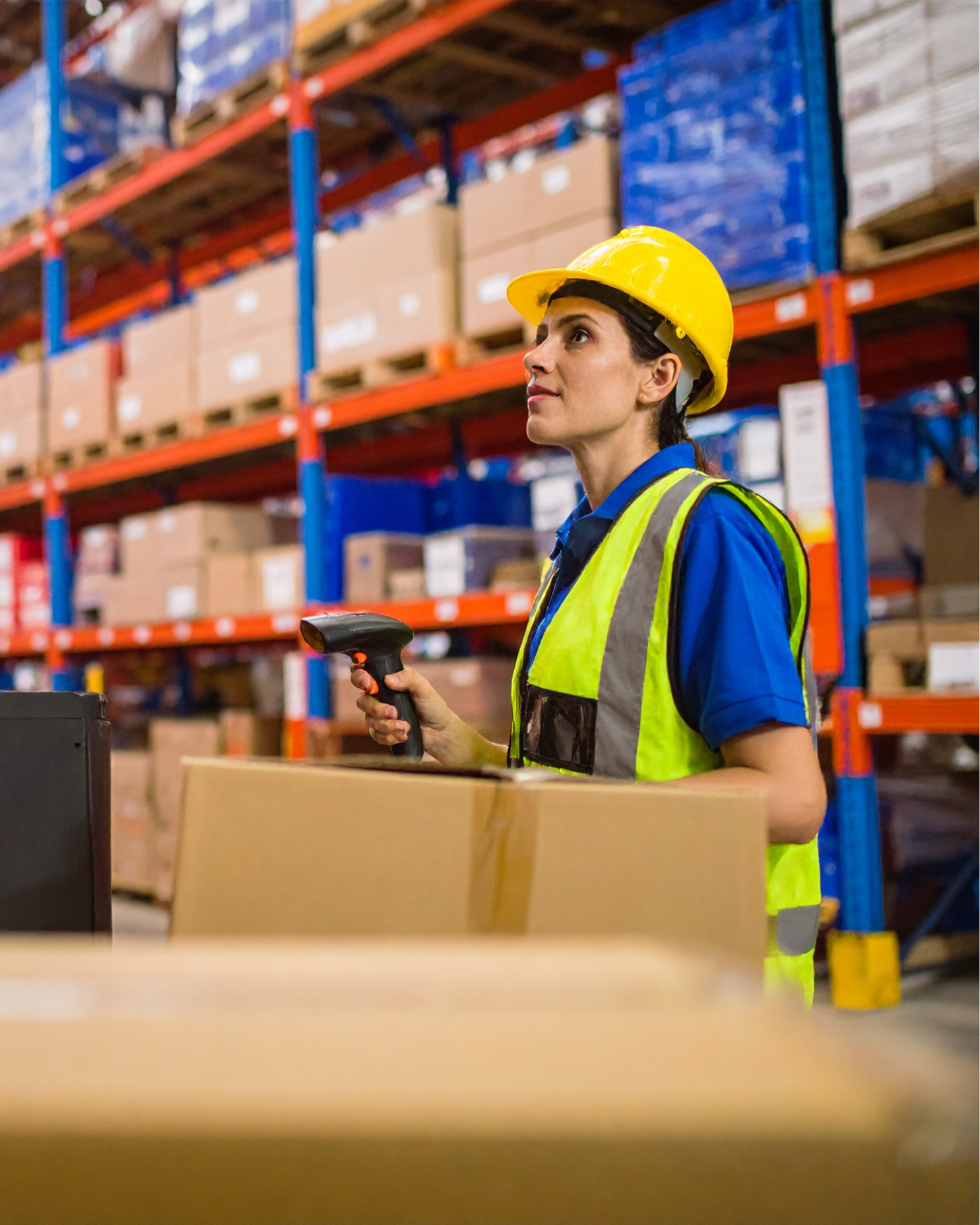 Agente automatización NEURAL CODERS inventario